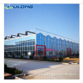 Venlo Hydroponic Multi Span Glass invernadero